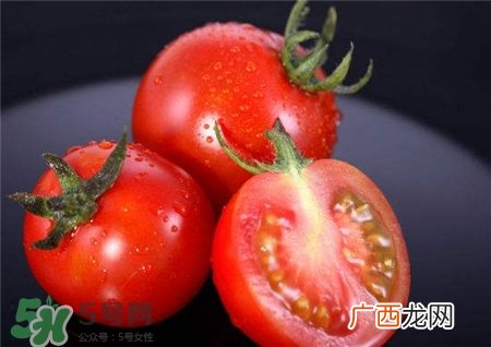 西红柿能敷脸吗?西红柿可以敷面膜吗?