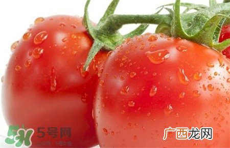 西红柿能敷脸吗?西红柿可以敷面膜吗?