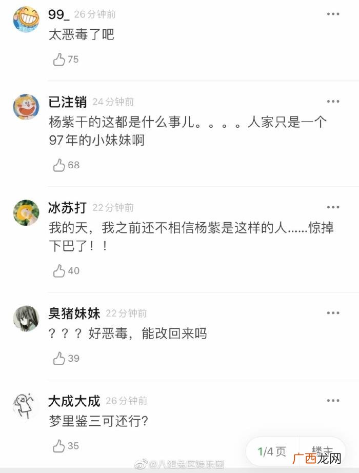 张雪迎百科，张雪迎维基百科被恶改一事又被翻出