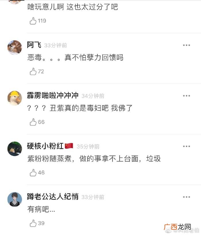 张雪迎百科，张雪迎维基百科被恶改一事又被翻出