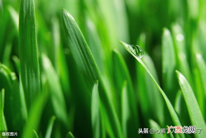 最新人生感悟的经典好句子 知音难觅的唯美句子
