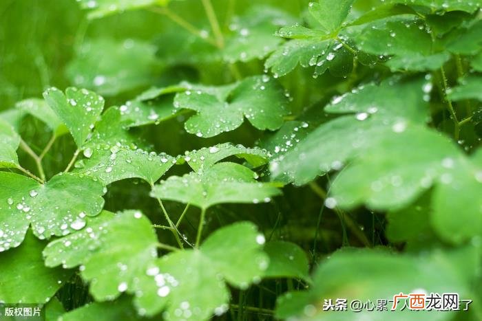 最新人生感悟的经典好句子 知音难觅的唯美句子