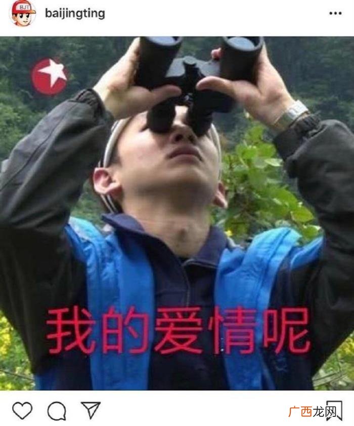 李沁和胡歌，李沁邓伦胡歌李易峰情人节忙着否认恋情