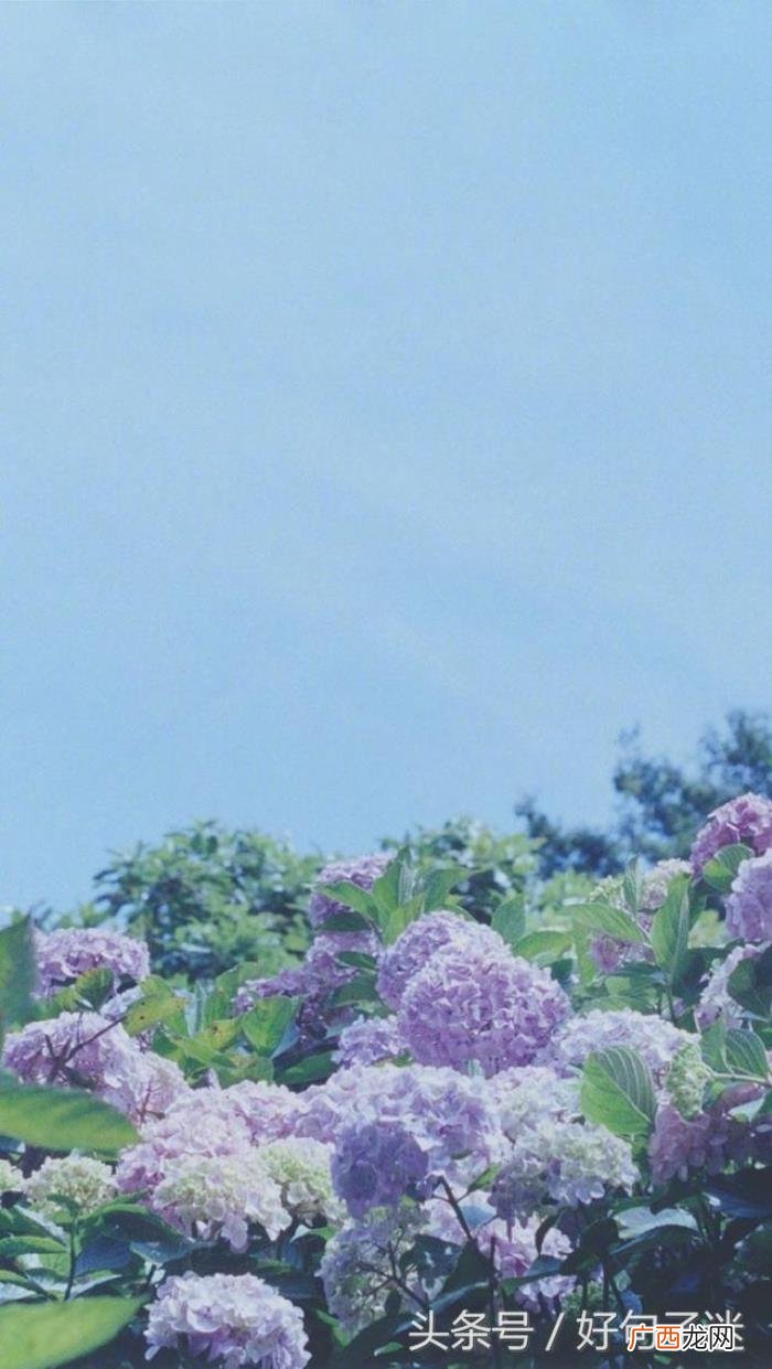 超精致的一句话签名 一句走心签名