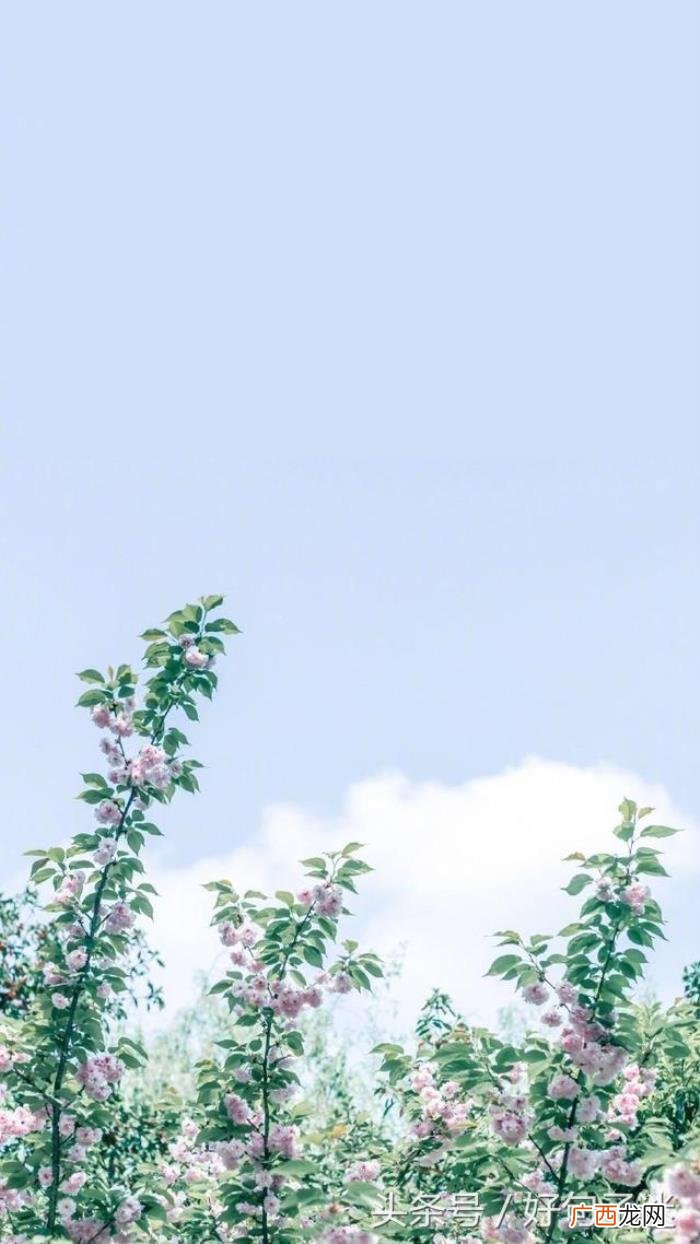 超精致的一句话签名 一句走心签名