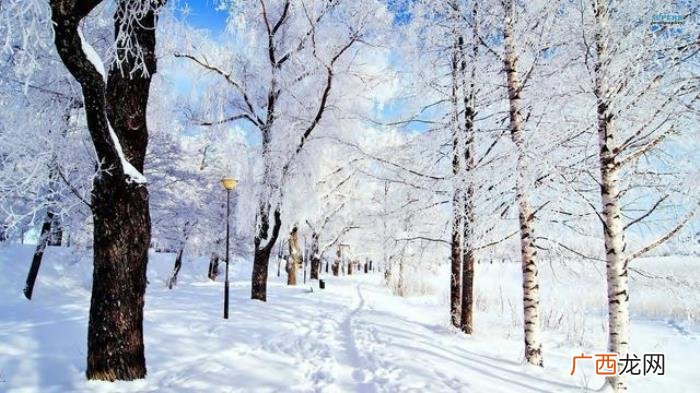 下雪天发朋友圈的小短句 雪景短句