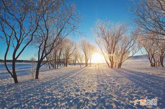 下雪天发朋友圈的小短句 雪景短句