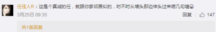 任嘉伦人设，任嘉伦的实在绝不是刻意打造的人设