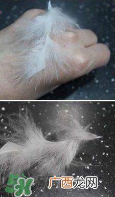 雅诗兰黛红石榴水清爽型和滋润型哪个好?