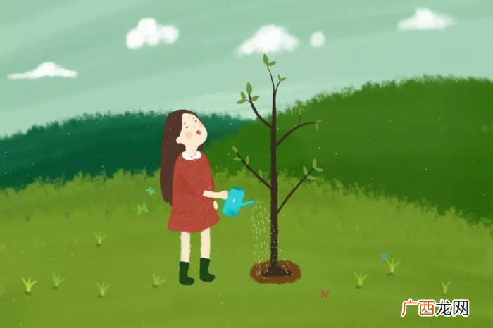 描写夏天美景的精彩段落 夏天的景色描写