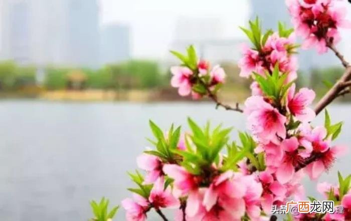 三月发朋友圈的唯美语录句子 三月心情说说唯美句子
