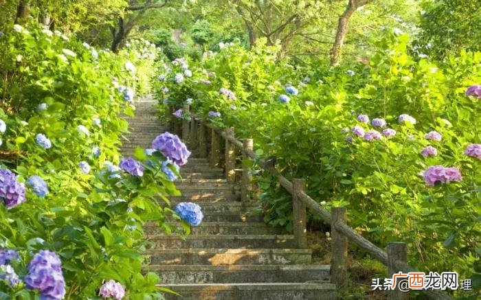 三月发朋友圈的唯美语录句子 三月心情说说唯美句子