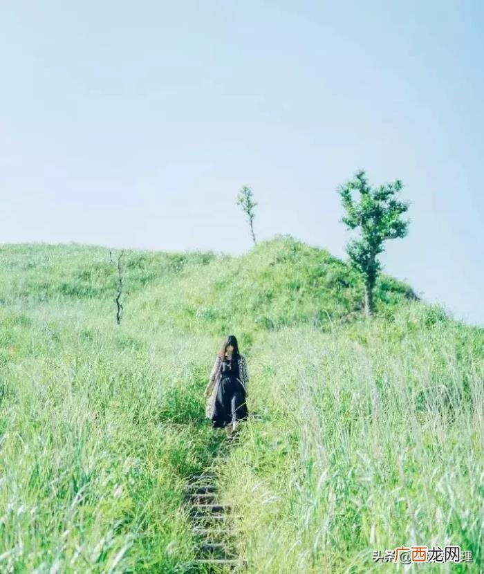 三月发朋友圈的唯美语录句子 三月心情说说唯美句子