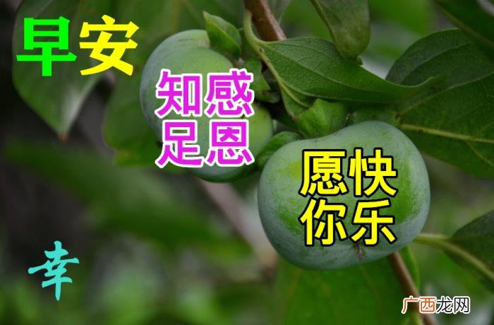 漂亮的图片，11月6日特别漂亮早上好祝福动态图片大全