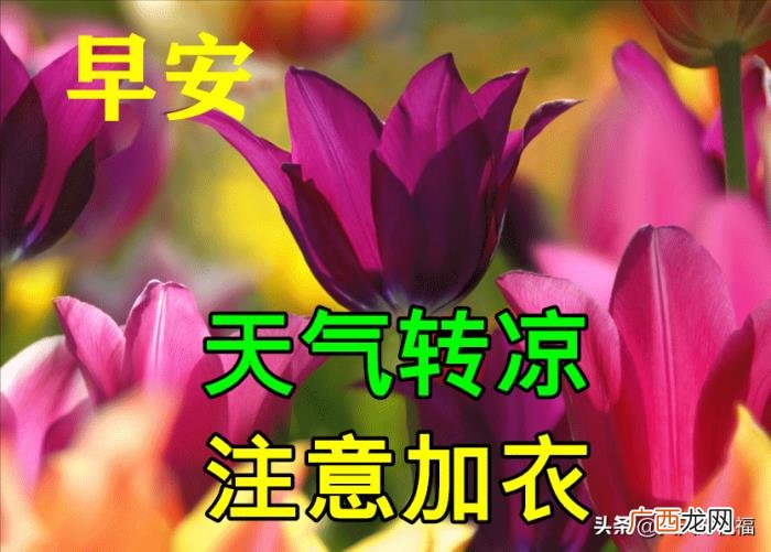 漂亮的图片，11月6日特别漂亮早上好祝福动态图片大全