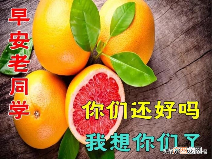 漂亮的图片，11月6日特别漂亮早上好祝福动态图片大全