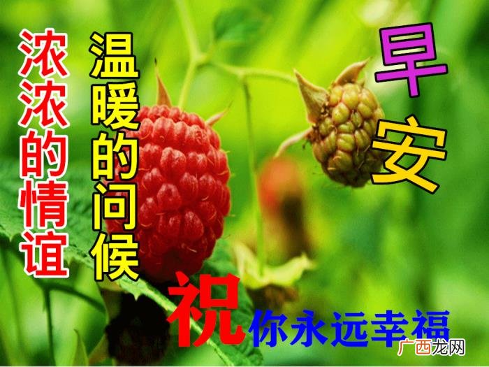 漂亮的图片，11月6日特别漂亮早上好祝福动态图片大全