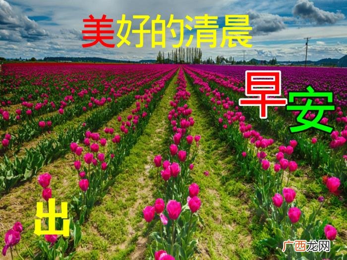 漂亮的图片，11月6日特别漂亮早上好祝福动态图片大全