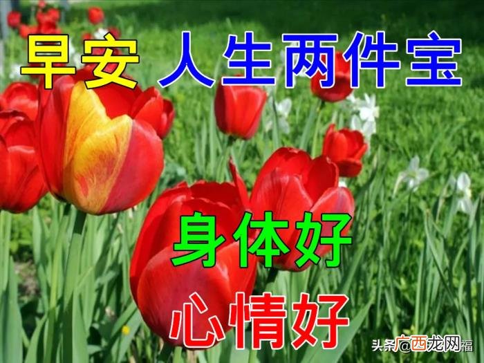 漂亮的图片，11月6日特别漂亮早上好祝福动态图片大全