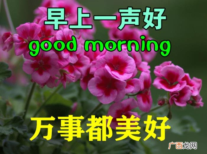 漂亮的图片，11月6日特别漂亮早上好祝福动态图片大全