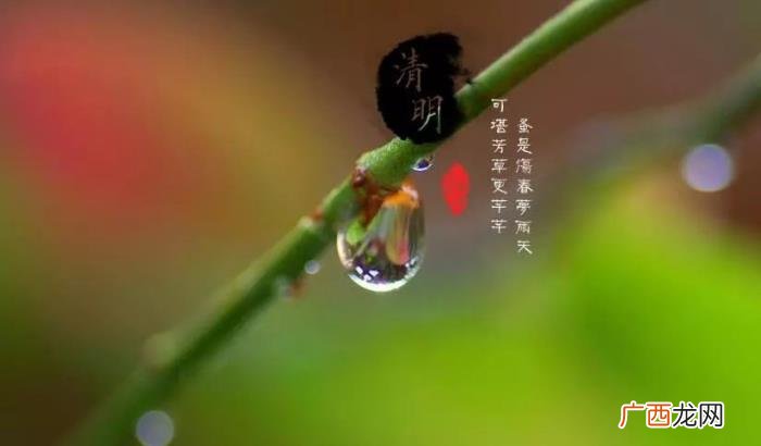岁月挥不去的一抹思念 清明节的思念
