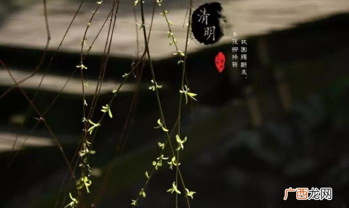 岁月挥不去的一抹思念 清明节的思念
