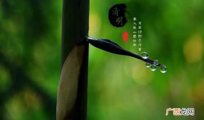 岁月挥不去的一抹思念 清明节的思念