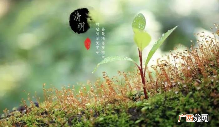 岁月挥不去的一抹思念 清明节的思念