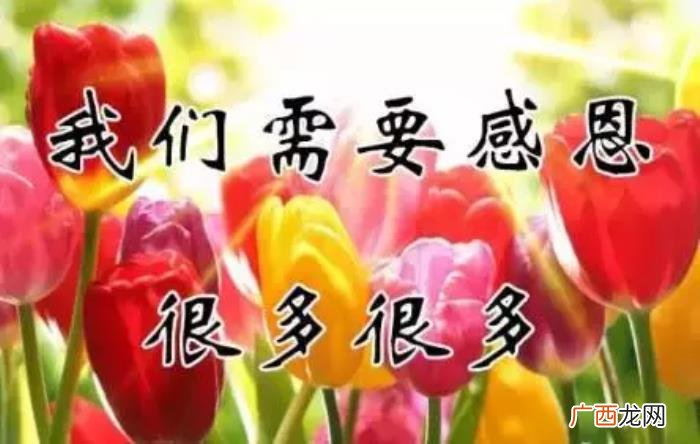 真心感谢一路相伴的朋友 感谢朋友的话语