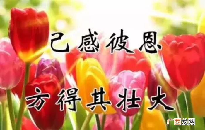 真心感谢一路相伴的朋友 感谢朋友的话语