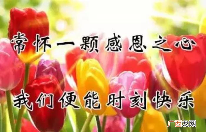 真心感谢一路相伴的朋友 感谢朋友的话语