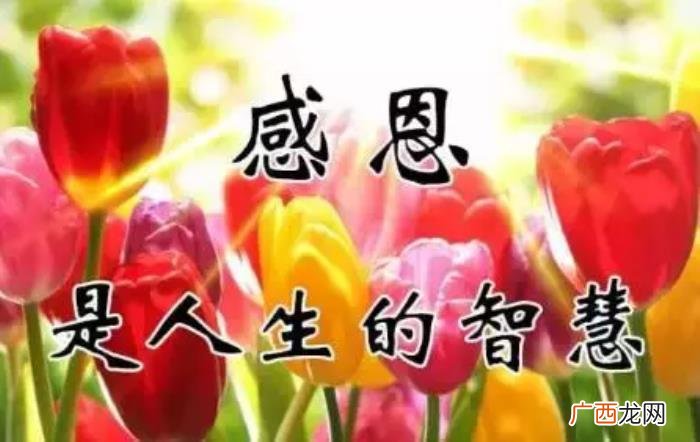 真心感谢一路相伴的朋友 感谢朋友的话语