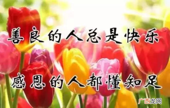 真心感谢一路相伴的朋友 感谢朋友的话语
