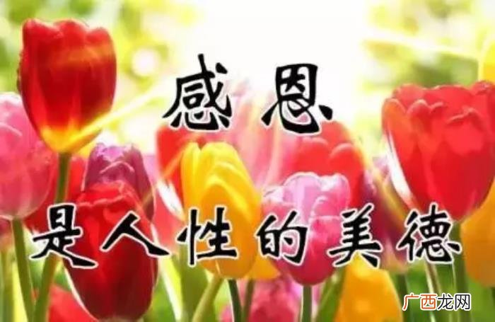 真心感谢一路相伴的朋友 感谢朋友的话语