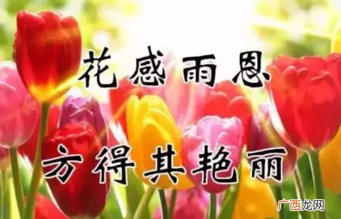 真心感谢一路相伴的朋友 感谢朋友的话语