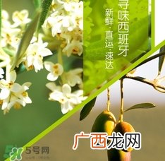 橄榄油可以去黑头吗？橄榄油怎么去黑头？