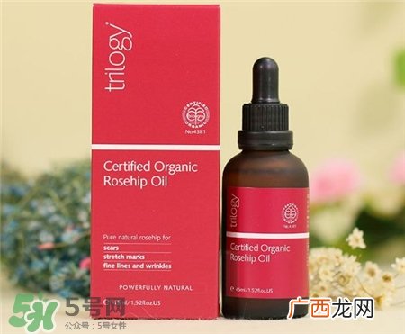 Trilogy玫瑰果油多少钱?Trilogy玫瑰果油价格