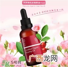 Trilogy玫瑰果油多少钱?Trilogy玫瑰果油价格