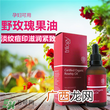 Trilogy玫瑰果油多少钱?Trilogy玫瑰果油价格