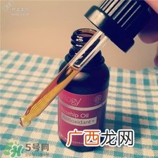 趣乐活玫瑰果油好用么?Trilogy玫瑰果油怎么样?