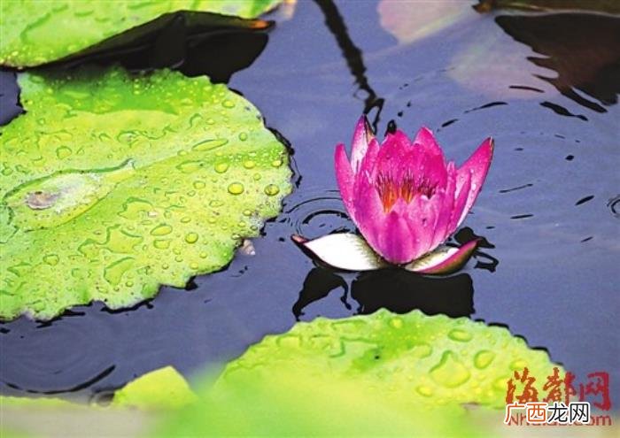祝福女生女朋友生日文艺的句子 祝女生生日快乐的句子