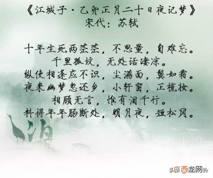 惟有泪千行——九首凄凉古诗词 凄凉的诗句