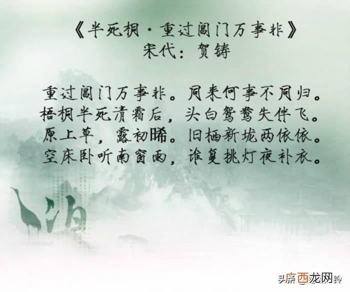 惟有泪千行——九首凄凉古诗词 凄凉的诗句