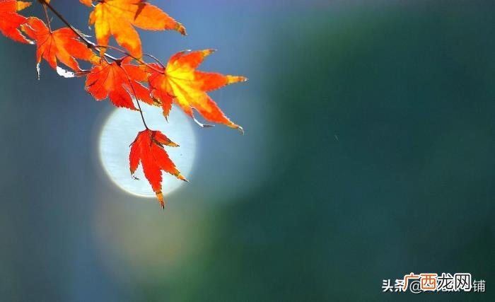 八首深情古诗把思念绵延 表达思念的诗