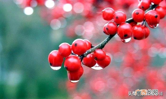 八首深情古诗把思念绵延 表达思念的诗