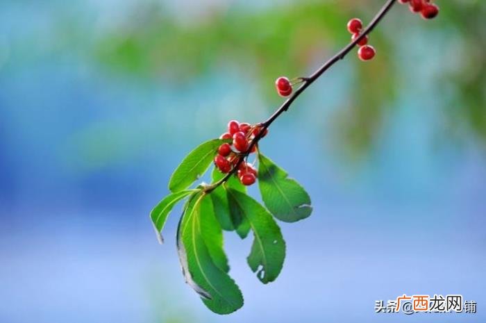 八首深情古诗把思念绵延 表达思念的诗