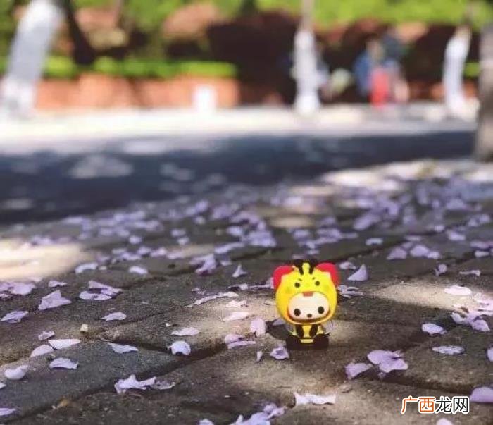 阿狸的伤感语录大全 阿狸语录