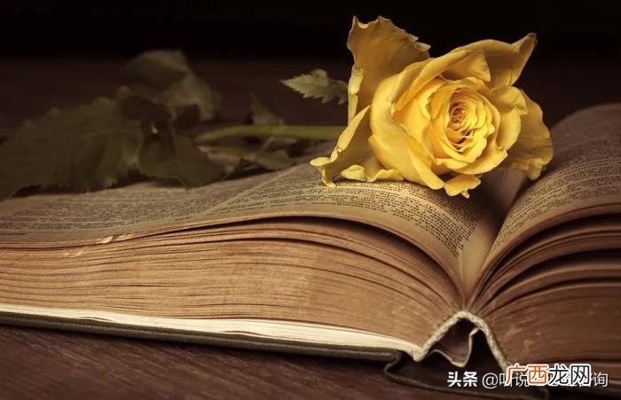如何挽回失去的婚姻 因为自己出轨如何挽回
