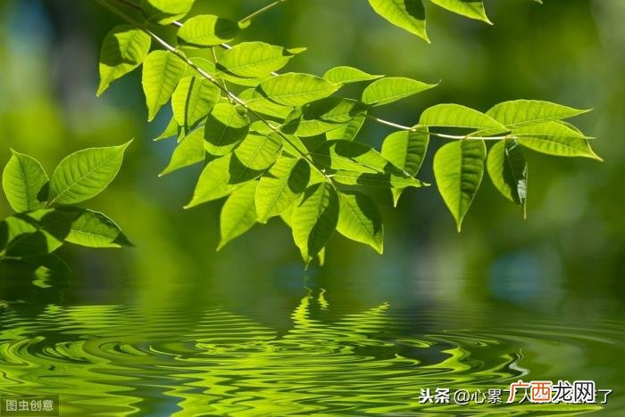 习惯了用微笑掩饰痛苦 用微笑掩饰悲伤的句子