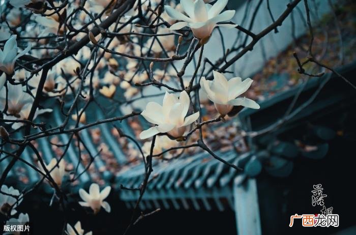 都是脍炙人口的千古名句 古诗名句经典